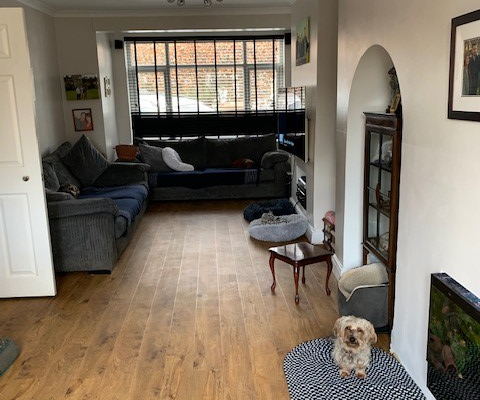 Golden oak plank LVT flooring in Reigate living room with white walls and blue sofas in front window